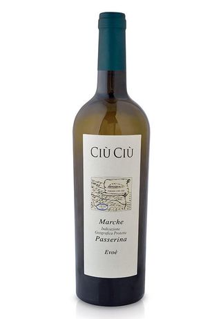 Ciu Ciu Marche Passerina