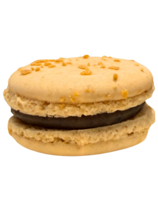 Macaron Noisette 1 Ud.