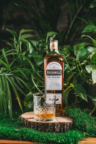 BUSHMILLS  (50 мл.)