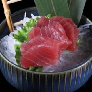 Sashimi maguro