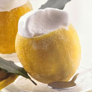 D9 Gelato limone 柠檬冰淇淋