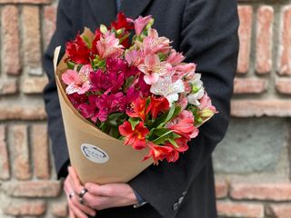 ალსტრომერიის თაიგული (10 ტოტი)