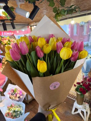 ჰოლანდიური ვარდები, სიმაღლე 80-1 მეტრი