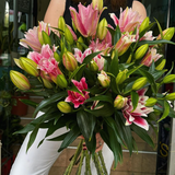 ვარდისფერი ლილია 5 ტოტი