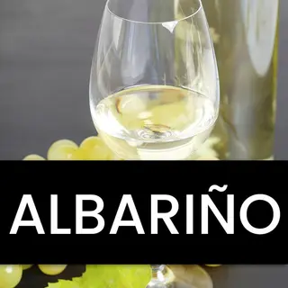 Vino Blanco Albariño (750ml)