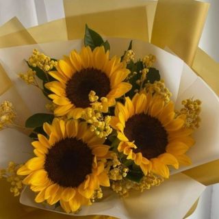 Girasoles Decorados