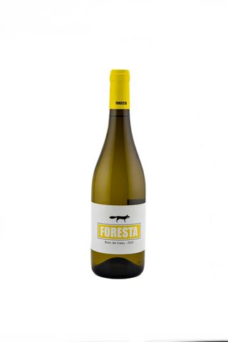 Foresta Bosc del Calau