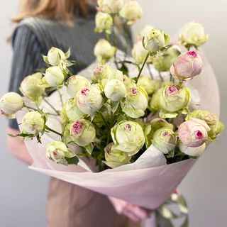 სპრეი ვარდები ჯელატო 3072