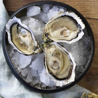 Ostra Guillardeau n3