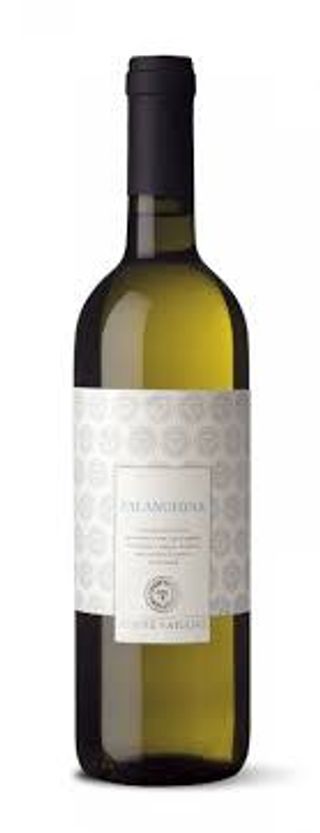 Falanghina - Torre Varano