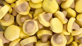 Banana mushrooms 100g
