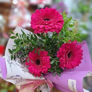 Gerberas Rosa/fuxcia "Victoria Kent"