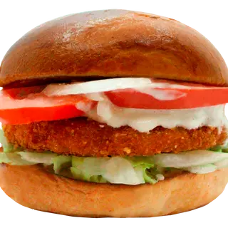 Burger Chicken