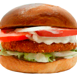Burger Chicken