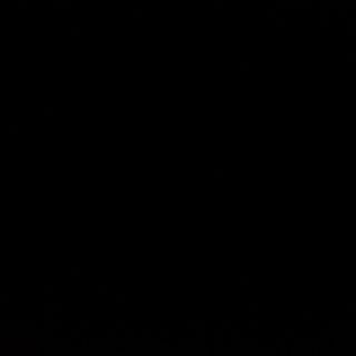 Пельмені фрі