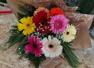 Ramo de Gerberas M