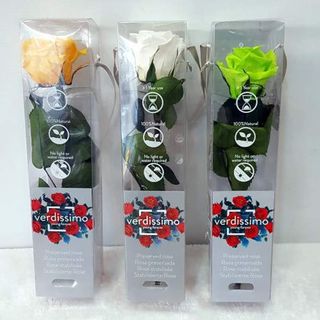 Rosa preservada corta de color