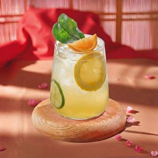 Лимонад Азиатские цитрусы