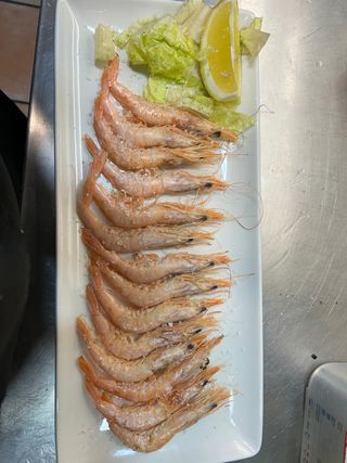 Gamba Blanca