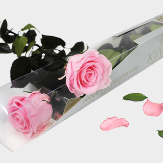 Tallo de rosa rosa eterna 55 cm