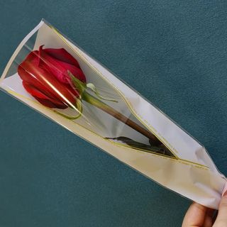 Ruža u celofanu