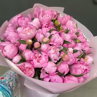 51  півонія