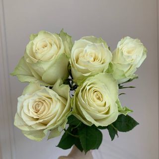 Букет з 5 троянд Atena