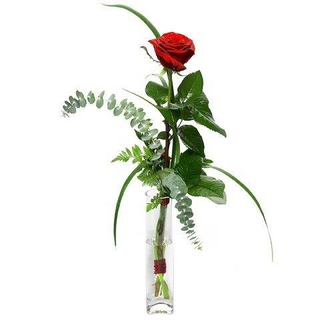 1 Rosa Roja con violetero 