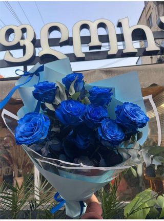 ჰოლანდიური ვარდები, სიმაღლე 80-1 მეტრი