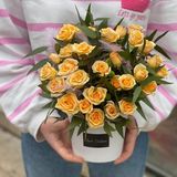 კრემისფერი სპრეი ვარდი xs box