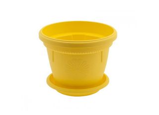 Саксия, жълта, Ф25