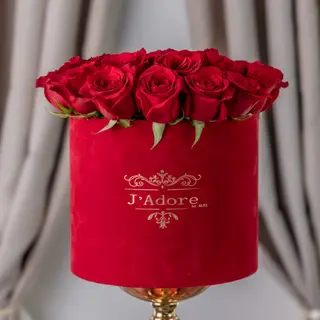 Lady in Red