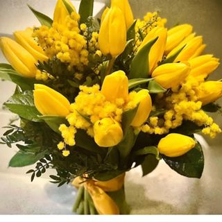 Mimosas with yellow Tulips 