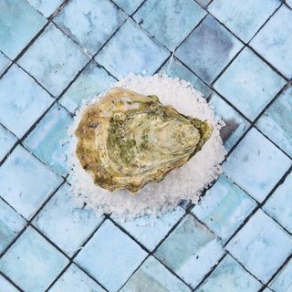 Ostrica concava gillardeau 6 pezzi