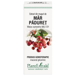Extract din muguri de mar paduret (MALUS SYLVESTRIS)