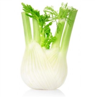 Hinojo Pieza (Aprox. 250 Gr.)