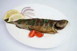 Pastrmka