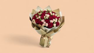 სპრეი ვარდი, ჰოლანდიური ვარდების მიქსი