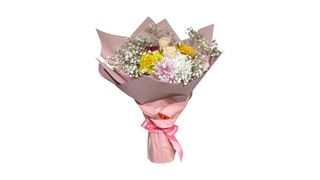 #1 დილის მზე