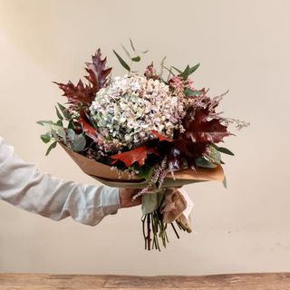 Ramo otoñal de una hortensia