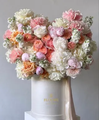 Blush Heart - The Soft Elegance