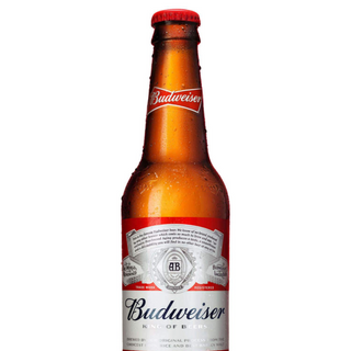 Cerveza Budweiser 