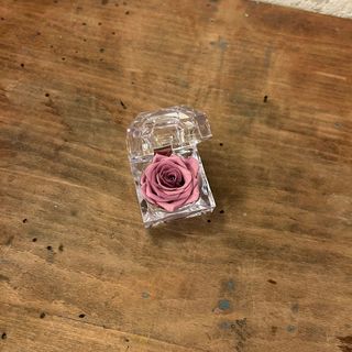 Cofre rosa liofilizada COLOR ROSA/LILA