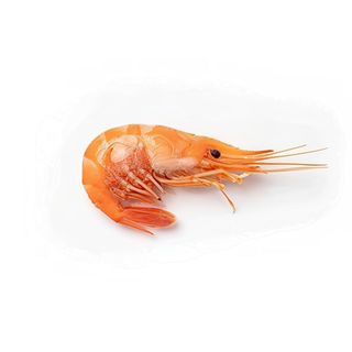 Camarón  cocido (150 g.)