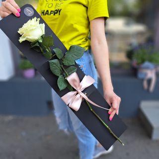 Trandafir Atizan Alb N