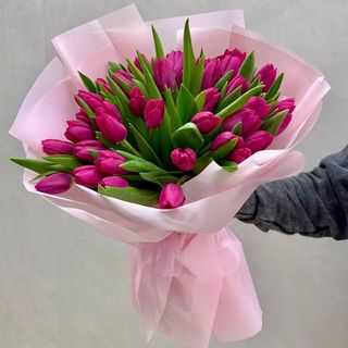 51 малиновий тюльпан