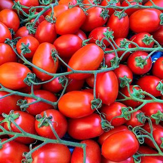 Pomodoro Piccadilly 1 kg