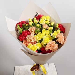 თბილი 2208