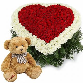 Море троянд