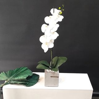 Orchidèe artificielle blanche